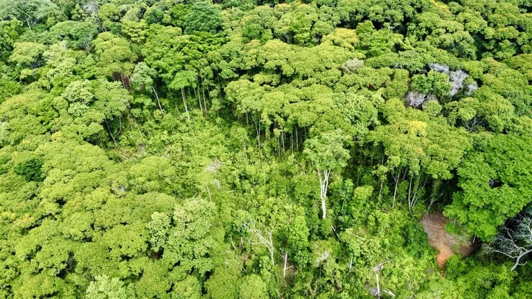 5.11 ACRES – Ocean And Mountain View Estate Property, Several Flat Buildable Areas, Legal ASADA Water!!!, photo 7