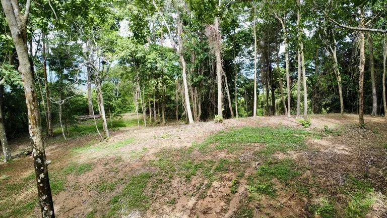 5.11 ACRES – Ocean And Mountain View Estate Property, Several Flat Buildable Areas, Legal ASADA Water!!!, photo 9