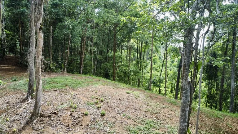 5.11 ACRES – Ocean And Mountain View Estate Property, Several Flat Buildable Areas, Legal ASADA Water!!!, photo 10