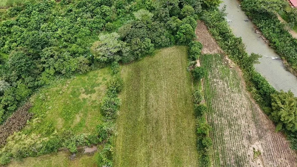 Unleash Your Potential: beautiful Flat land for sale in the heart of Pérez Zeledón., photo 6