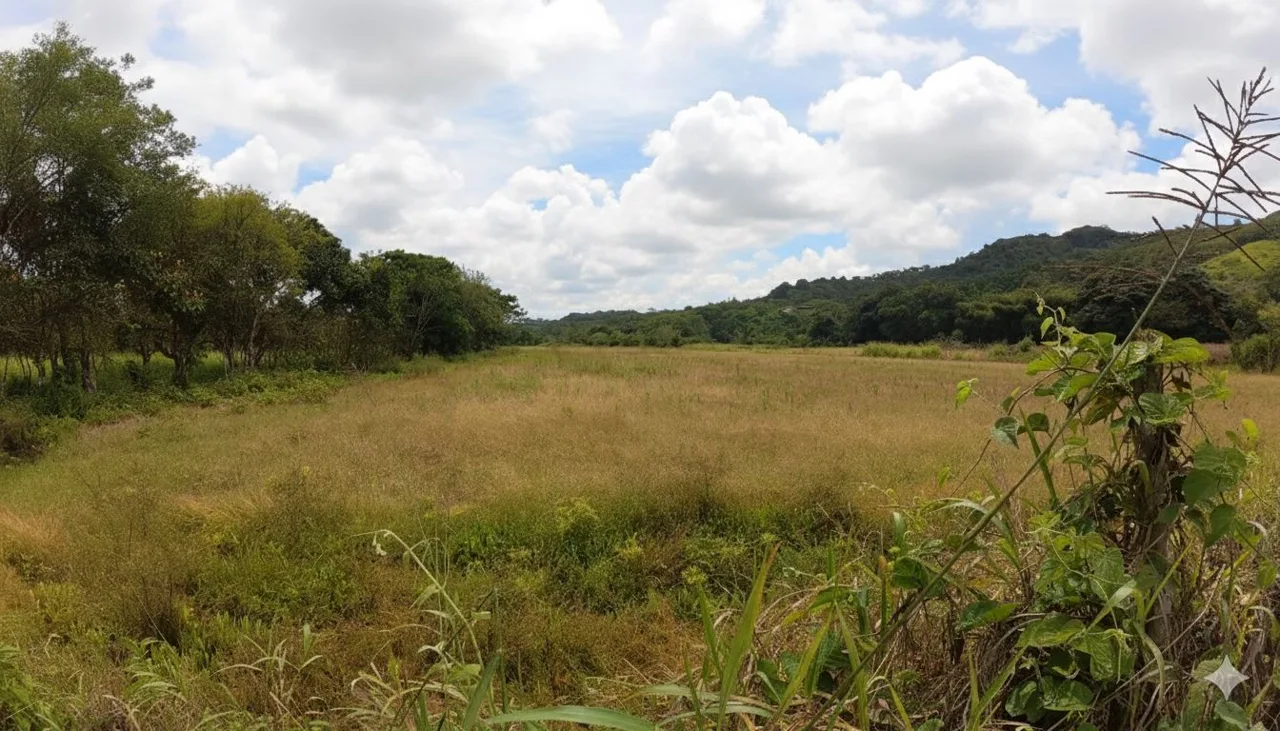 Unleash Your Potential: beautiful Flat land for sale in the heart of Pérez Zeledón., photo 7