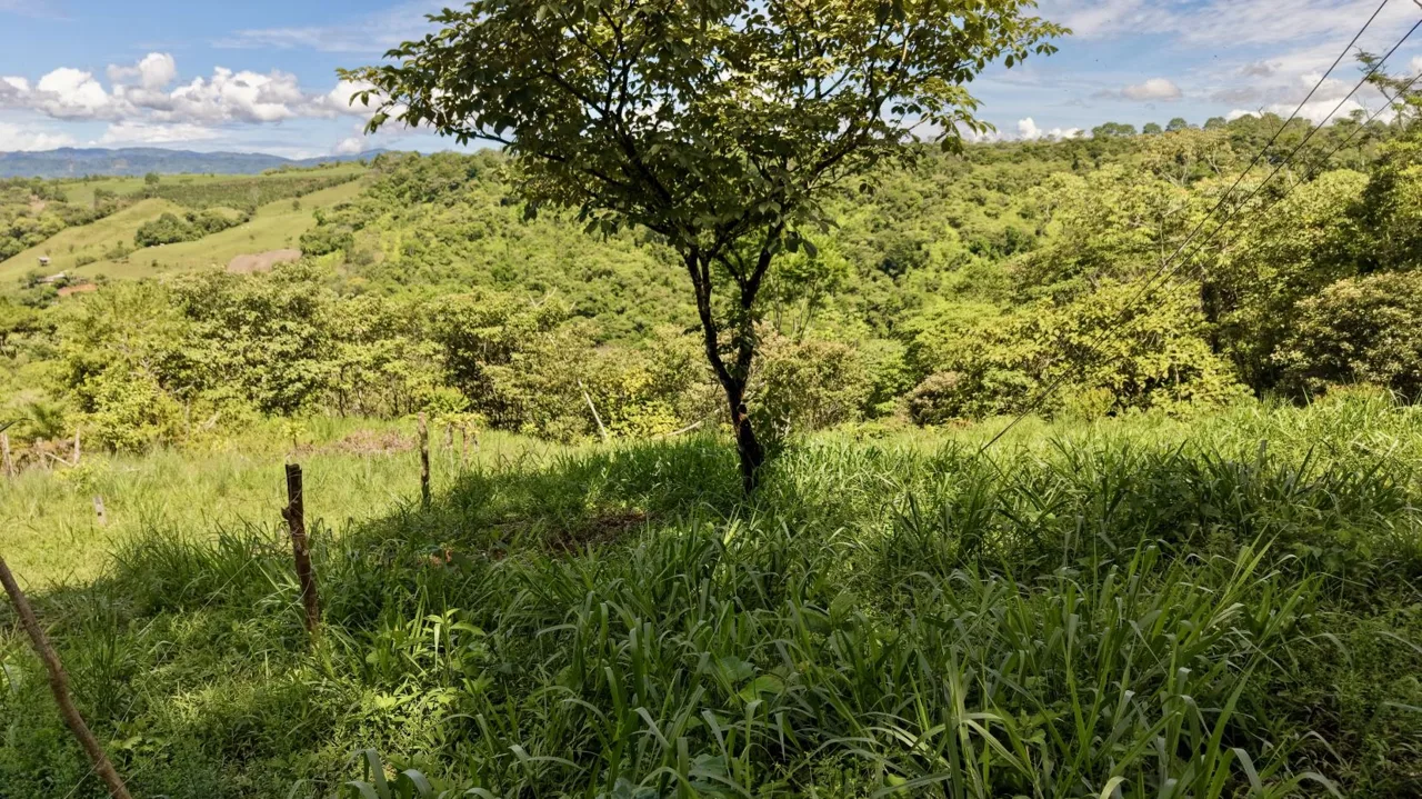 272 m² Lot for Sale in Tres Rios, Perez Zeledon – Stunning Views, Perfect for Airbnb or Cabin, photo 6