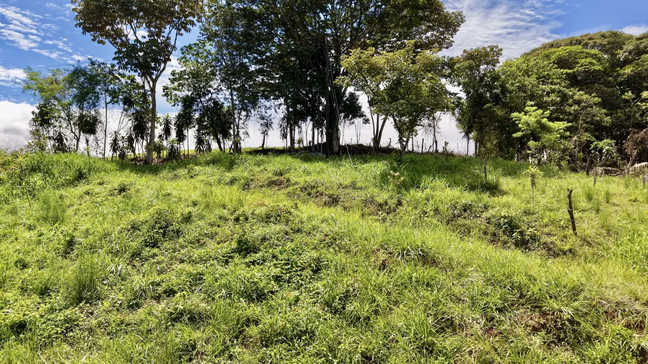 272 m² Lot for Sale in Tres Rios, Perez Zeledon – Stunning Views, Perfect for Airbnb or Cabin, photo 7
