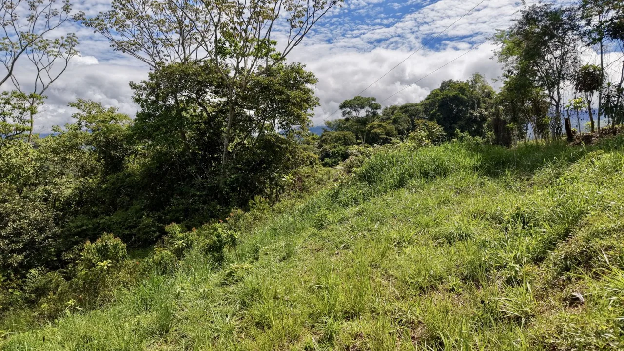 272 m² Lot for Sale in Tres Rios, Perez Zeledon – Stunning Views, Perfect for Airbnb or Cabin, photo 8