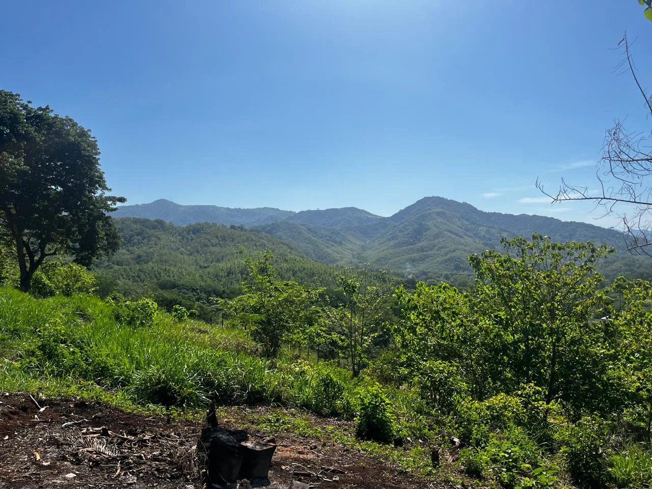Santa Marta Mountain View Lot, photo 3