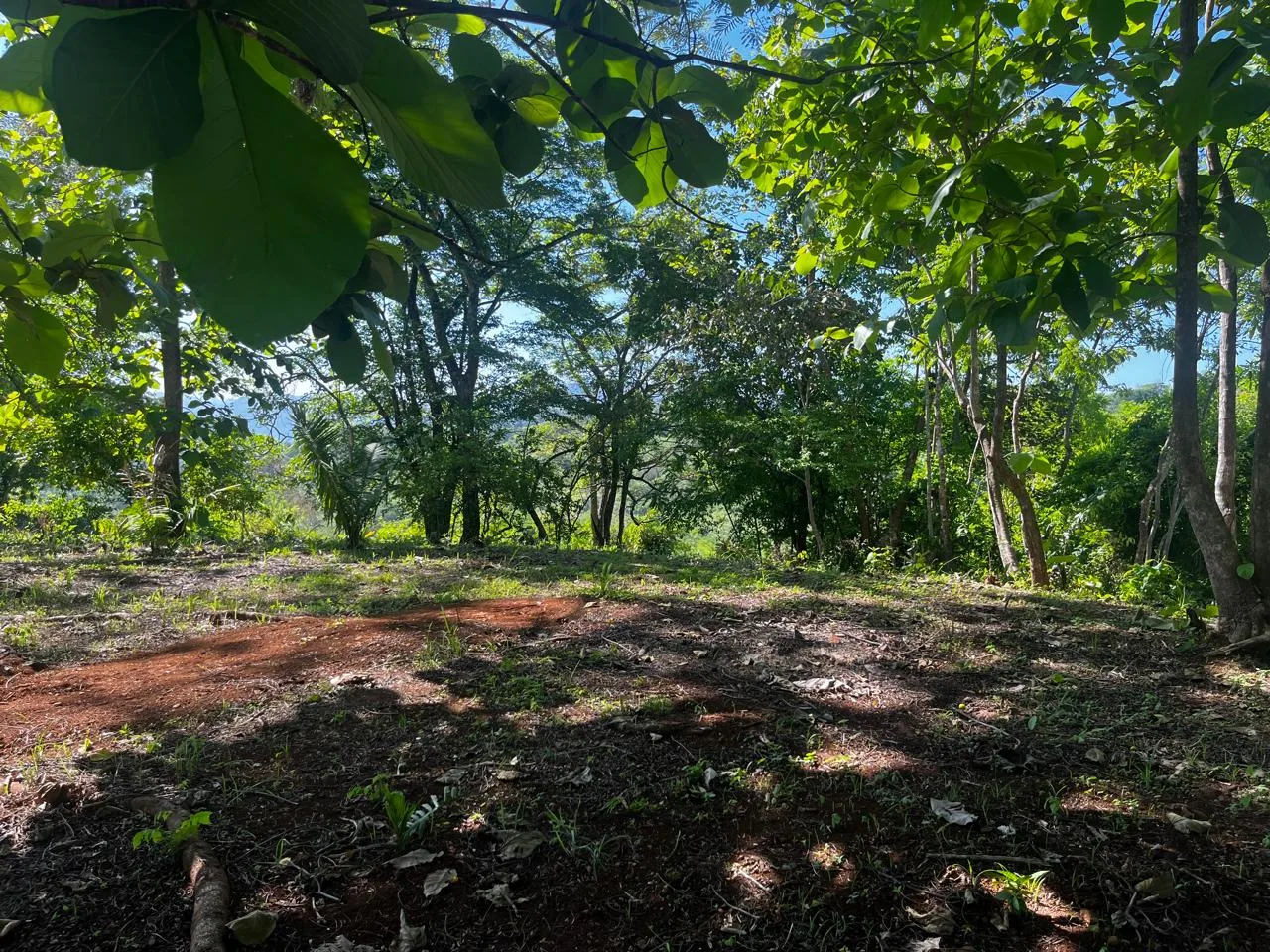 Santa Marta Mountain View Lot, photo 4
