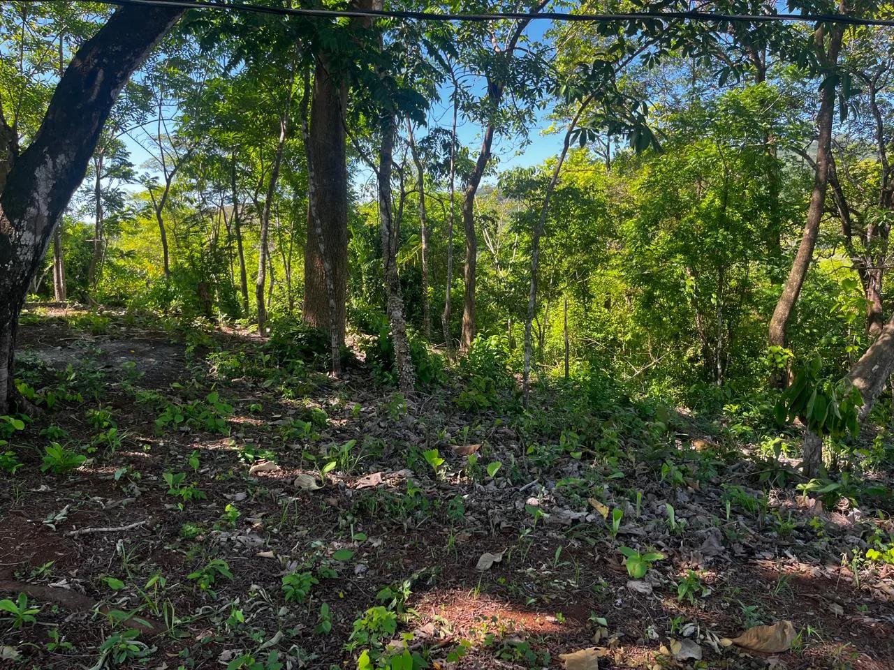 Santa Marta Mountain View Lot, photo 5