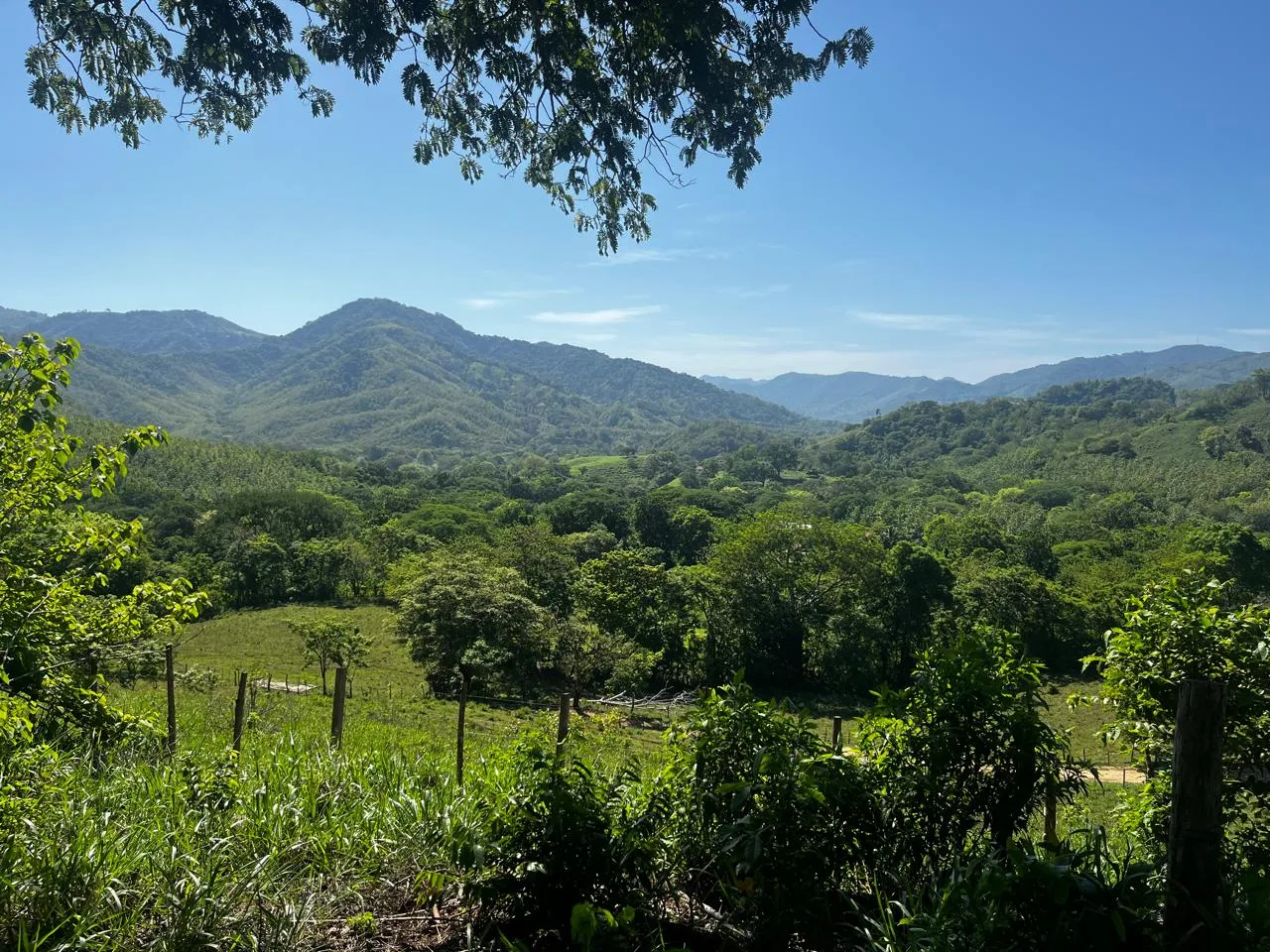 Santa Marta Mountain View Lot, photo 6