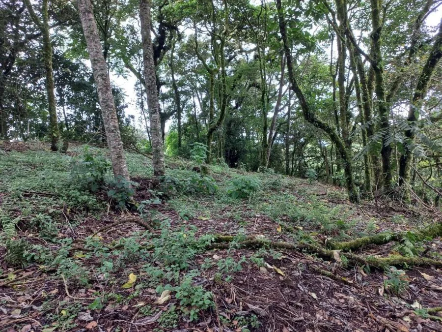 LOTE EN VENTA EN MIRAVALLES, PÉREZ ZELEDÓN – 600 m² CON VISTA Y LISTO PARA CONSTRUIR - Venta en Perez Zeledón, photo 10