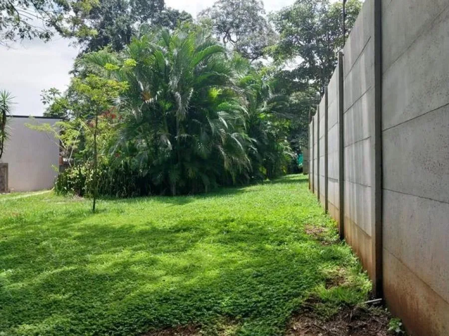 Venta de Lote en Mora, San José. - Venta en Mora