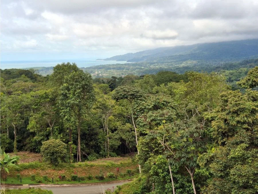 Lotes Premium en Uvita con Vistas al Mar y a la Montaña