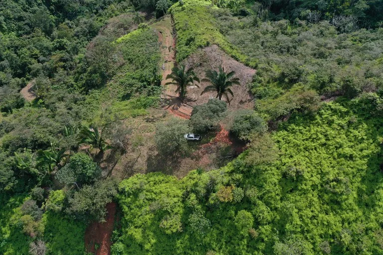 12 Acre Ocean View Farm in a Private Agricultural Community, photo 2