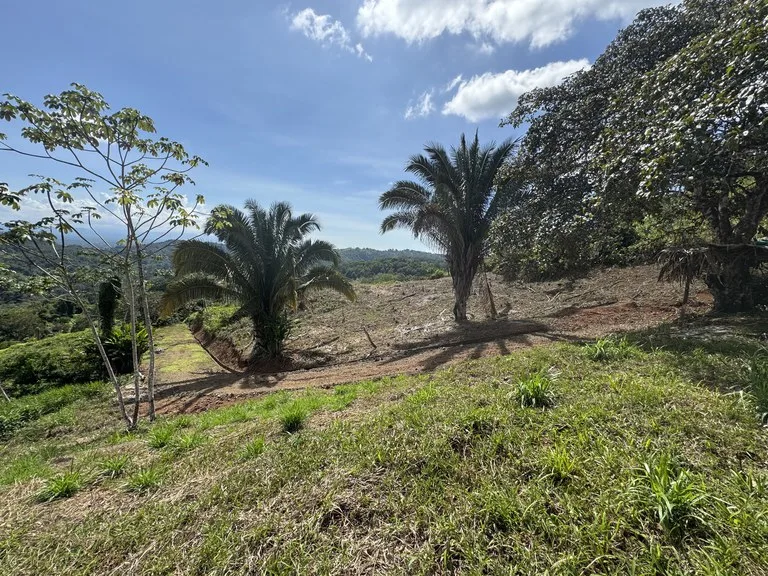 12 Acre Ocean View Farm in a Private Agricultural Community, photo 11
