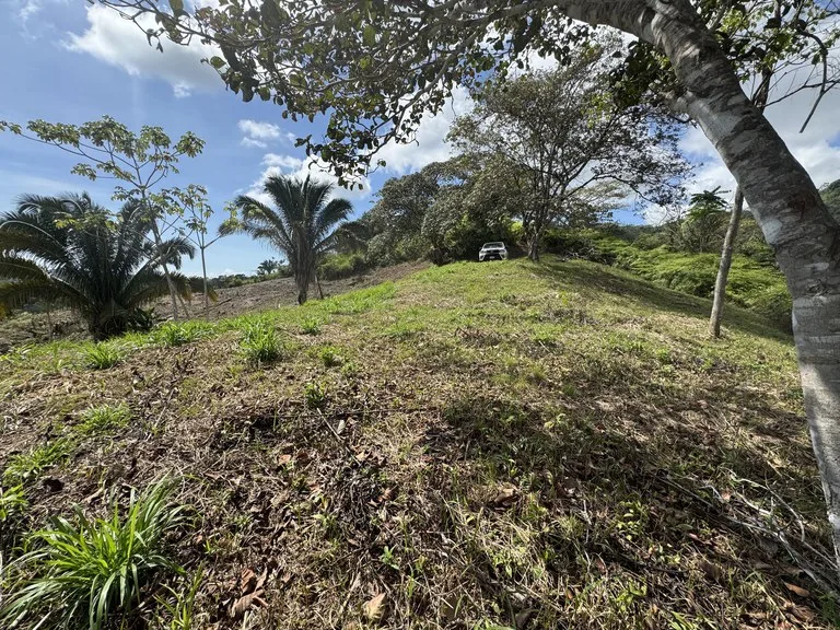 12 Acre Ocean View Farm in a Private Agricultural Community, photo 12