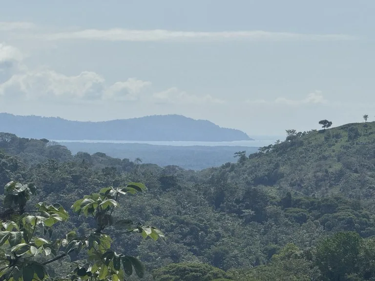 12 Acre Ocean View Farm in a Private Agricultural Community, photo 13
