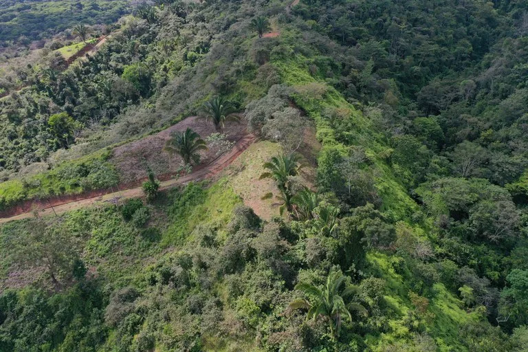 12 Acre Ocean View Farm in a Private Agricultural Community, photo 14