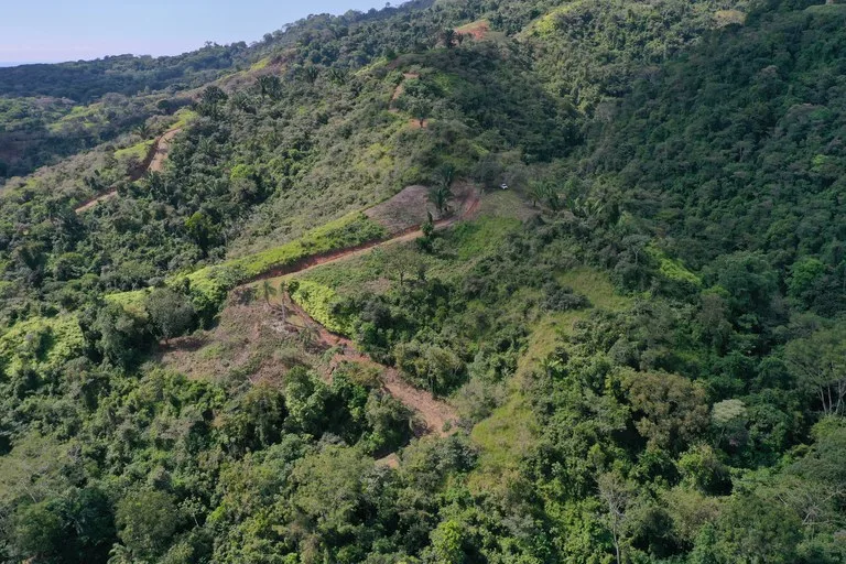 12 Acre Ocean View Farm in a Private Agricultural Community, photo 15
