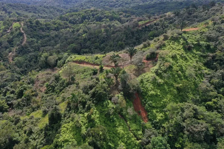 12 Acre Ocean View Farm in a Private Agricultural Community, photo 3