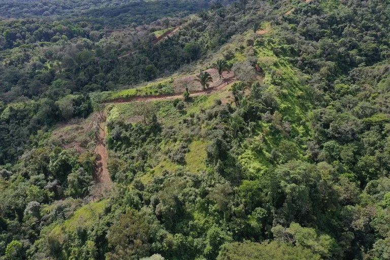 12 Acre Ocean View Farm in a Private Agricultural Community, photo 4