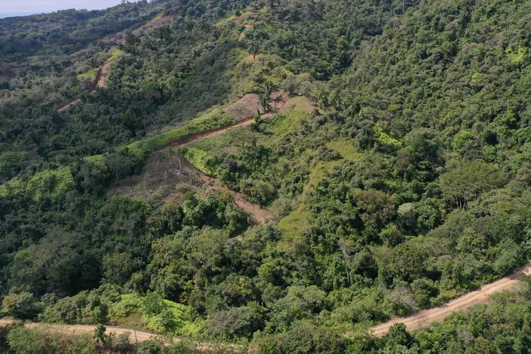 12 Acre Ocean View Farm in a Private Agricultural Community, photo 5