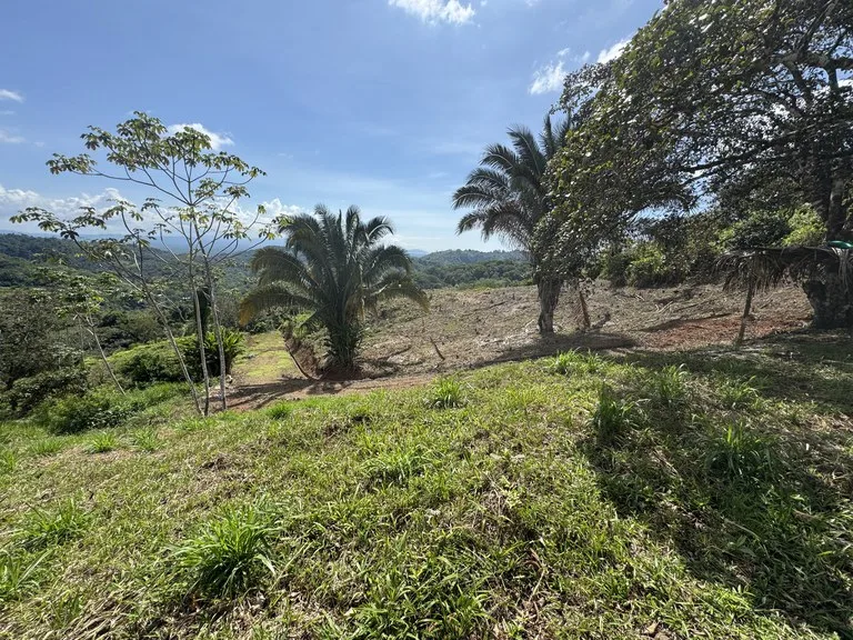 12 Acre Ocean View Farm in a Private Agricultural Community, photo 7