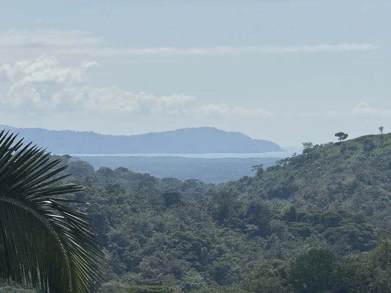 12 Acre Ocean View Farm in a Private Agricultural Community, photo 8