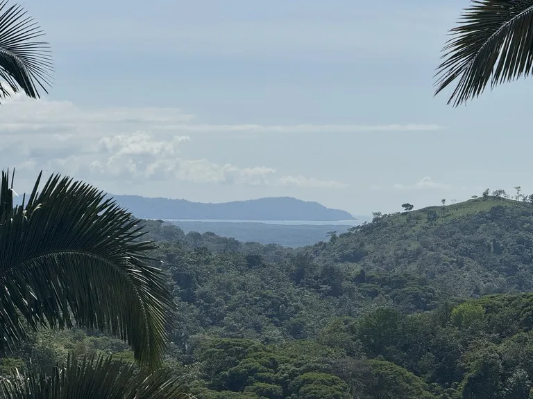 12 Acre Ocean View Farm in a Private Agricultural Community, photo 9