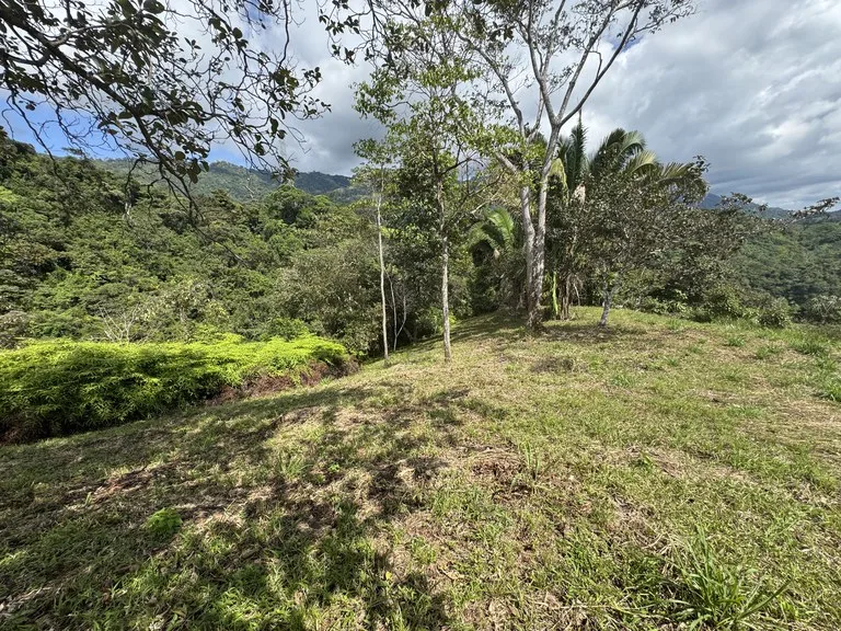 12 Acre Ocean View Farm in a Private Agricultural Community, photo 10