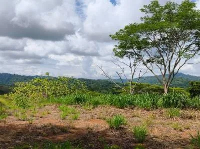 Lote de 5,072 m² en Columbus Heights con Terrazas, Vista a las Montañas y Potencial Vista al Océano, photo 4