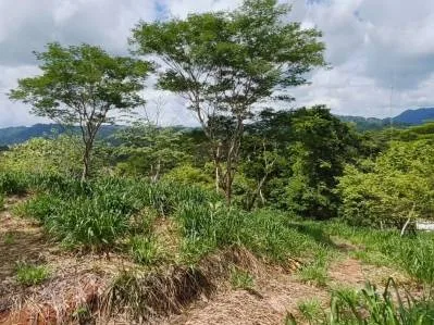 Lote de 5,072 m² en Columbus Heights con Terrazas, Vista a las Montañas y Potencial Vista al Océano, photo 6