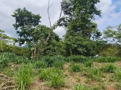 Lote de 5,072 m² en Columbus Heights con Terrazas, Vista a las Montañas y Potencial Vista al Océano, photo 10