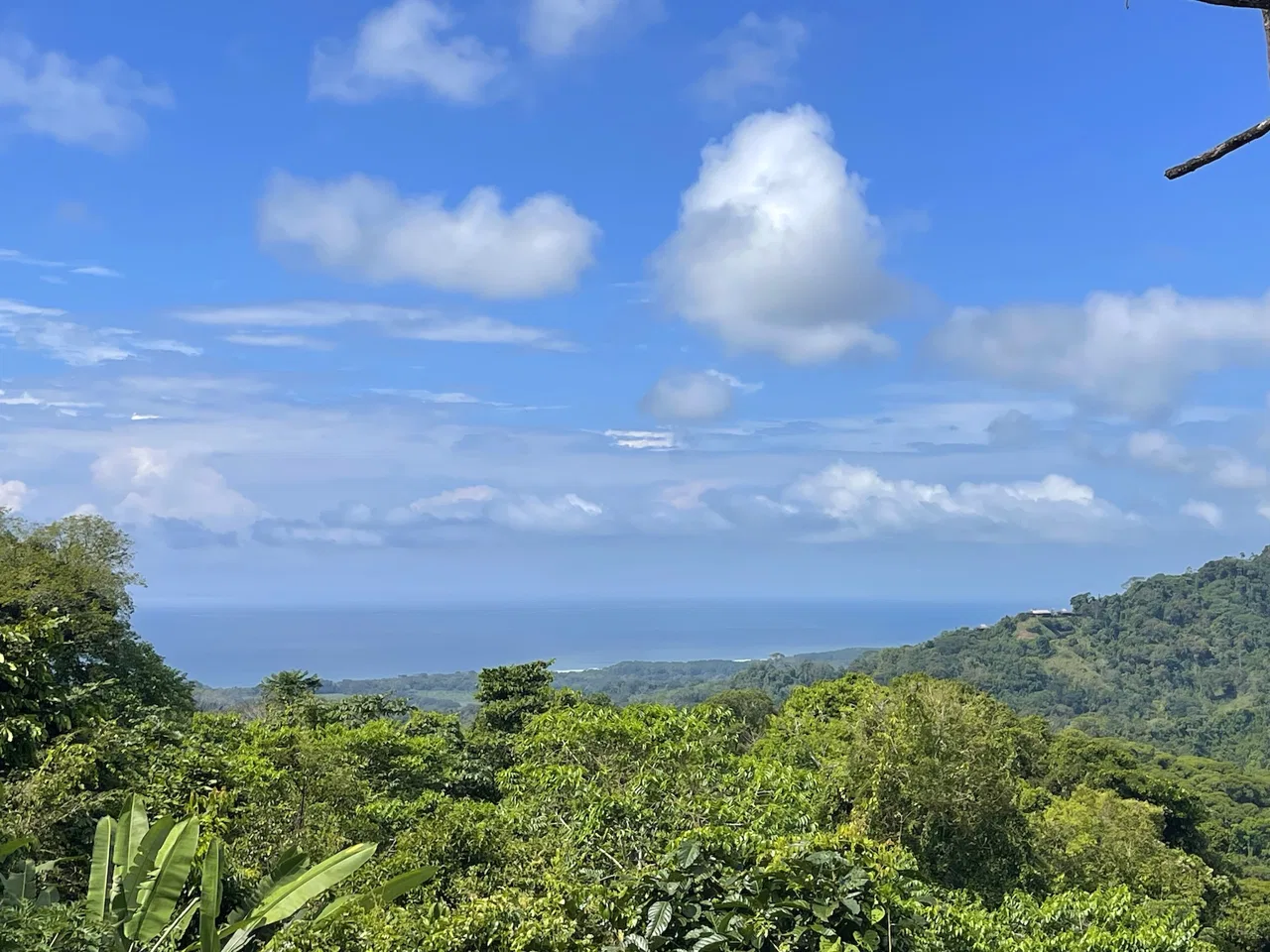 CASA TORTUGA – LAGUNAS OCEAN, MOUNTAIN, AND SUNSET VIEW HOME, photo 17