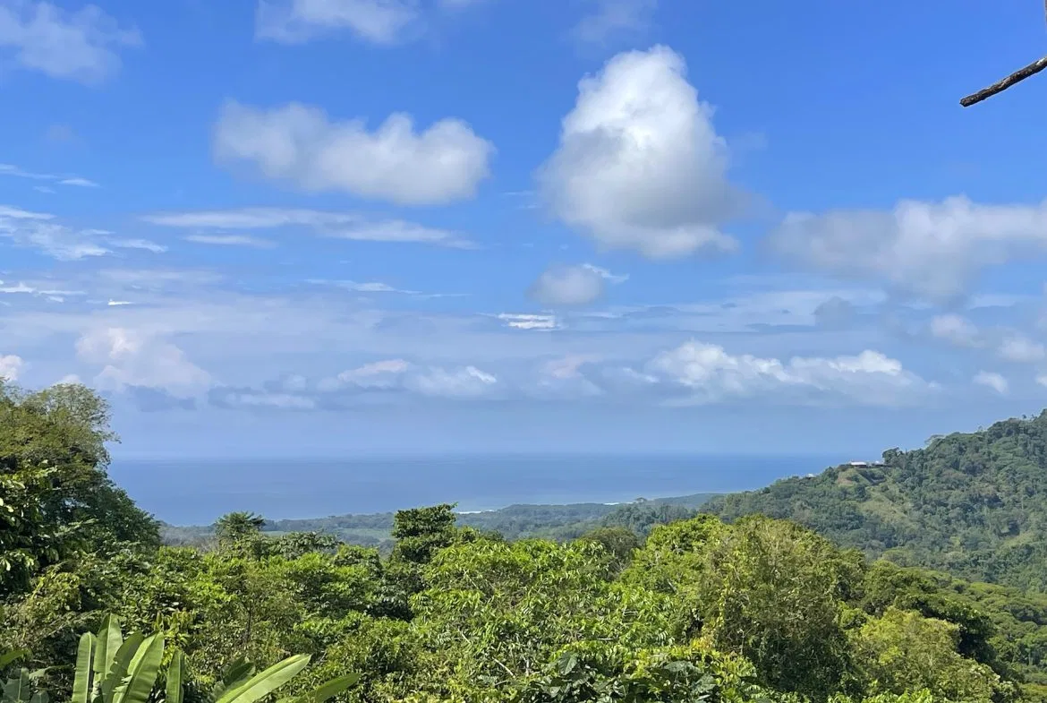 CASA TORTUGA – LAGUNAS OCEAN, MOUNTAIN, AND SUNSET VIEW HOME, photo 18