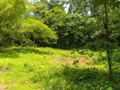 Magníficas vistas a la jungla - Tierra del Ceibo, lote # 1, photo 5