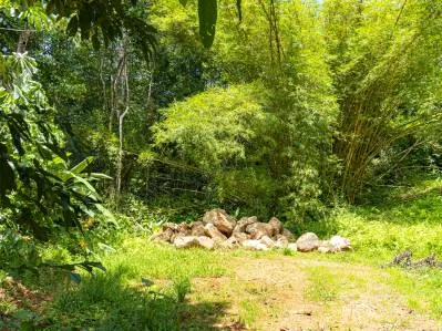 Magníficas vistas a la jungla - Tierra del Ceibo, lote # 1, photo 7