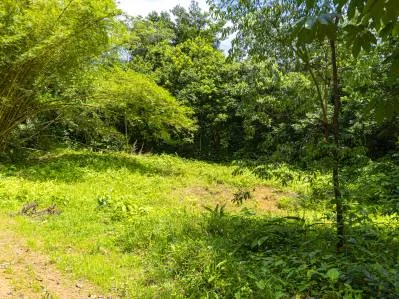 Magníficas vistas a la jungla - Tierra del Ceibo, lote # 1, photo 9