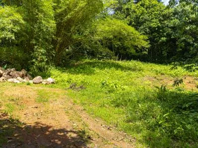 Magníficas vistas a la jungla - Tierra del Ceibo, lote # 1, photo 10