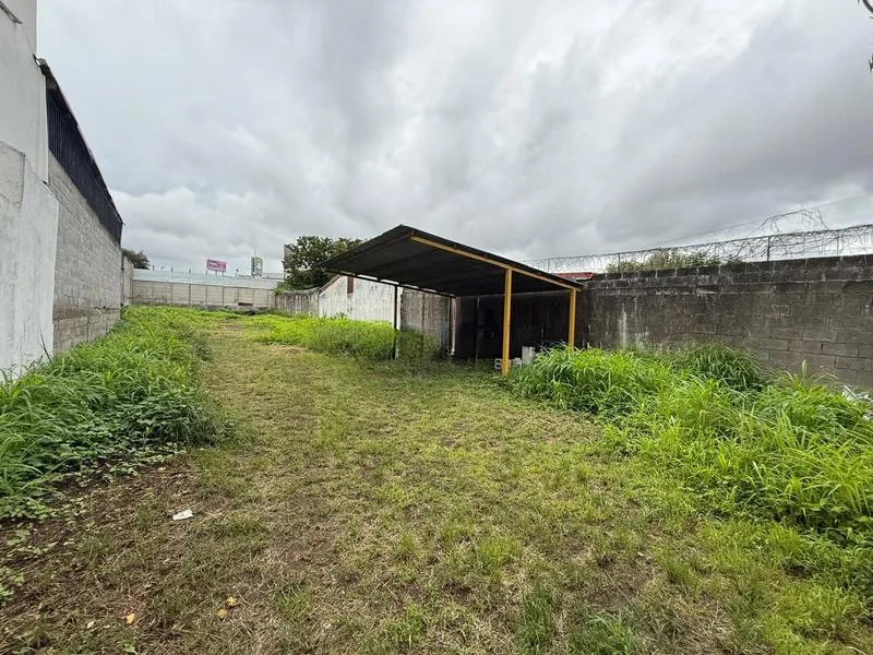 Land For Sale in Zapote, photo 2