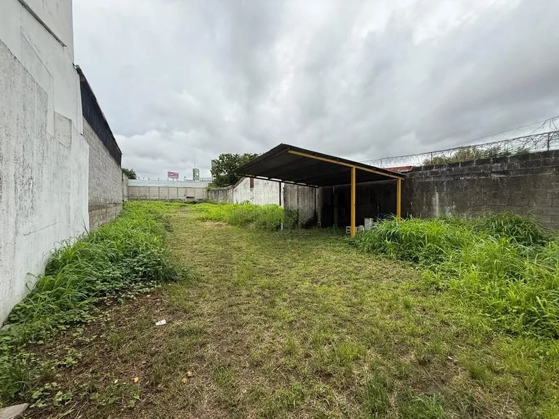 Land For Sale in Zapote, photo 3
