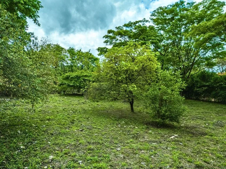 Marbella Dream Lot: 2.4 Acres of Natural Beauty Near the Beach, photo 11