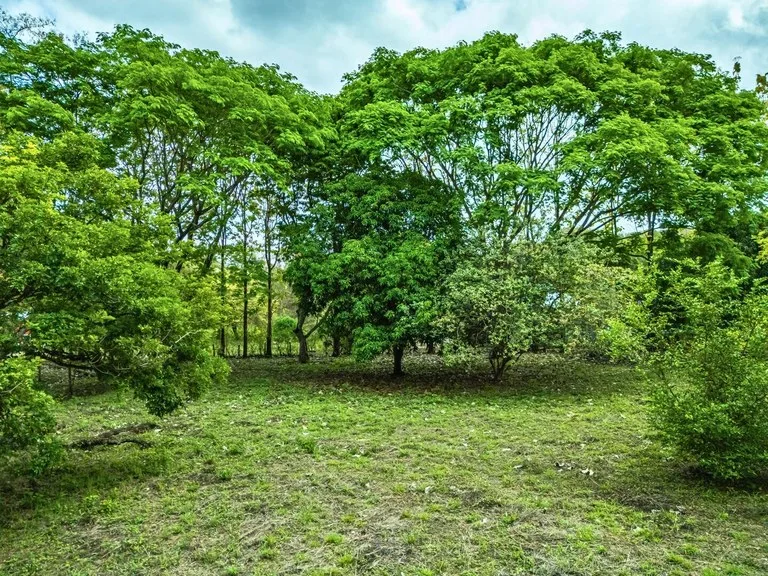 Marbella Dream Lot: 2.4 Acres of Natural Beauty Near the Beach, photo 12