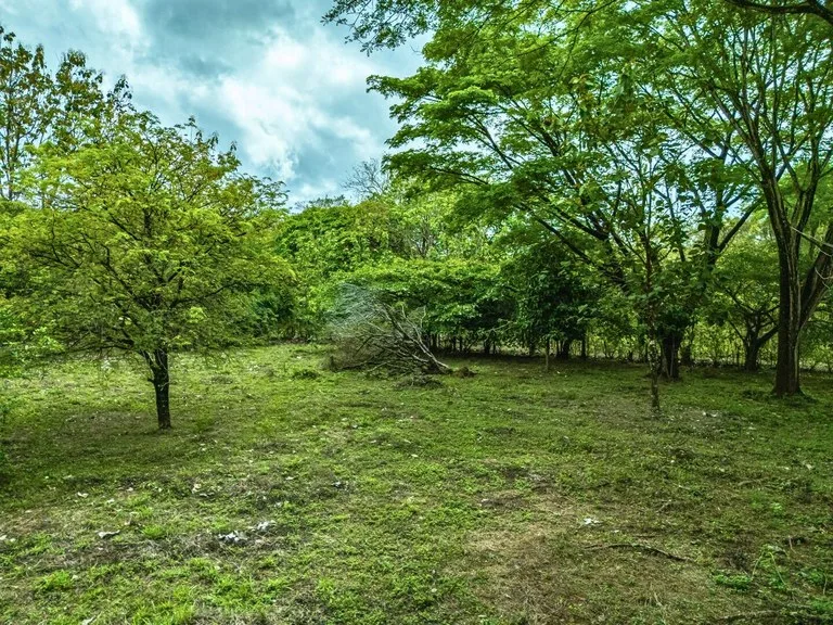 Marbella Dream Lot: 2.4 Acres of Natural Beauty Near the Beach, photo 13