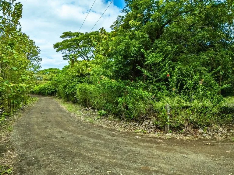 Marbella Dream Lot: 2.4 Acres of Natural Beauty Near the Beach, photo 15