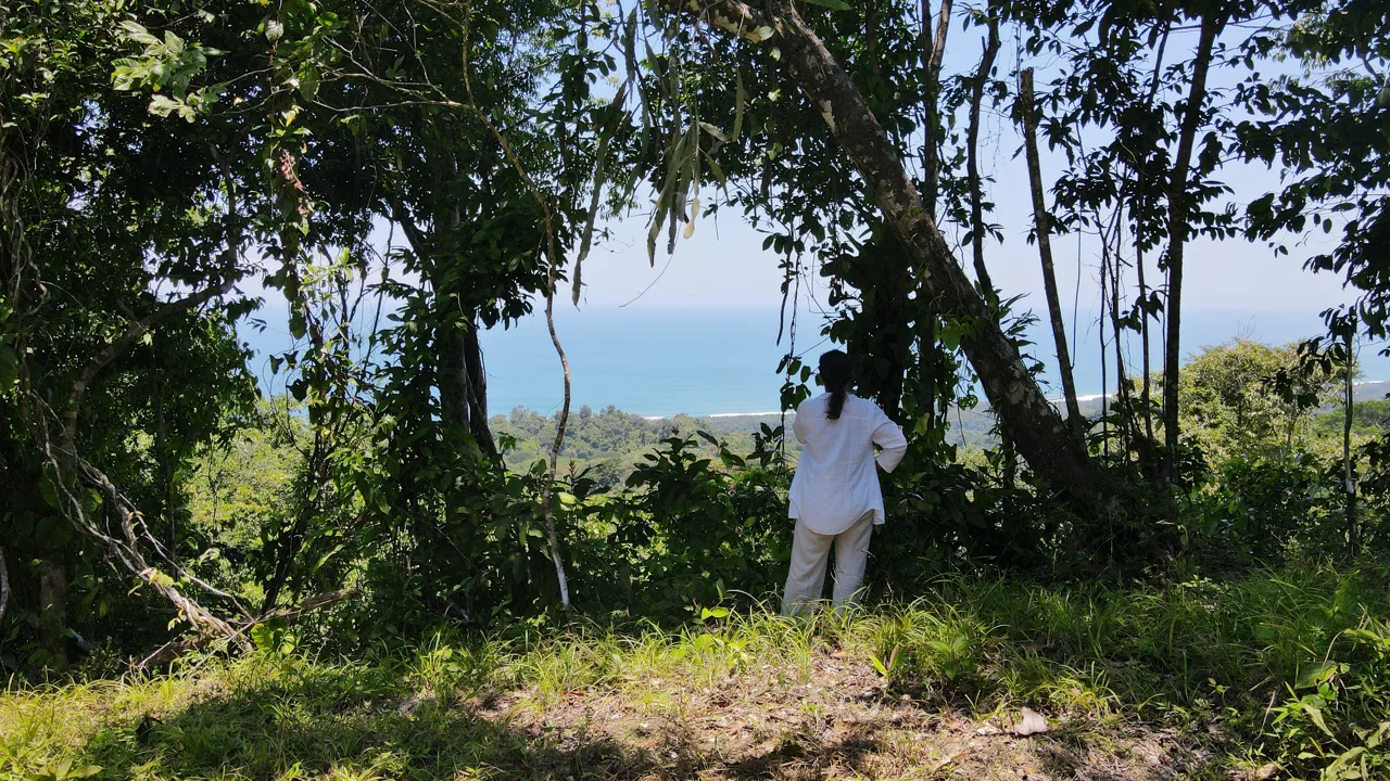 LOT WITH STUNNING OCEAN AND MOUNTAIN VIEWS NEAR DOMINICAL WITH LEGAL WATER – 1.3 ACRES, photo 15