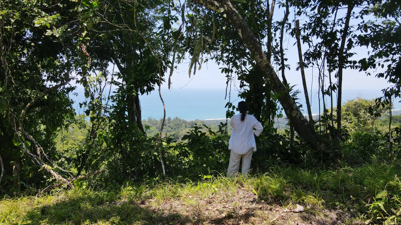LOT WITH STUNNING OCEAN AND MOUNTAIN VIEWS NEAR DOMINICAL WITH LEGAL WATER – 1.3 ACRES, photo 3