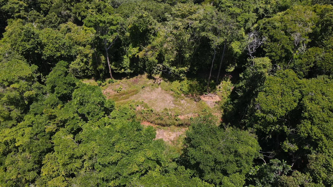 LOT WITH STUNNING OCEAN AND MOUNTAIN VIEWS NEAR DOMINICAL WITH LEGAL WATER – 1.3 ACRES, photo 4
