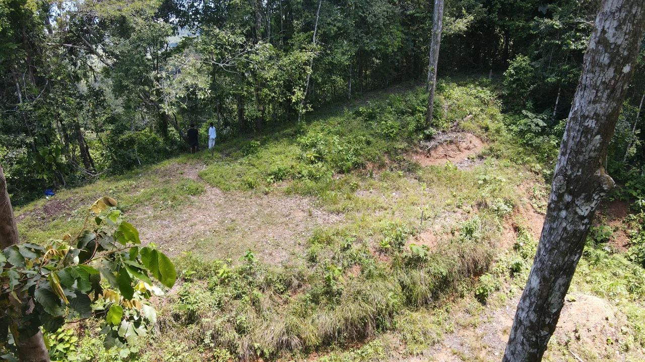 LOT WITH STUNNING OCEAN AND MOUNTAIN VIEWS NEAR DOMINICAL WITH LEGAL WATER – 1.3 ACRES, photo 5