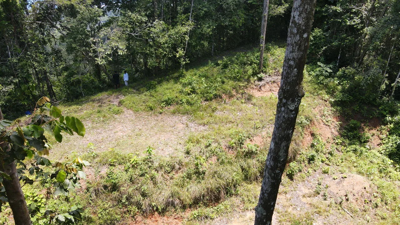 LOT WITH STUNNING OCEAN AND MOUNTAIN VIEWS NEAR DOMINICAL WITH LEGAL WATER – 1.3 ACRES, photo 6