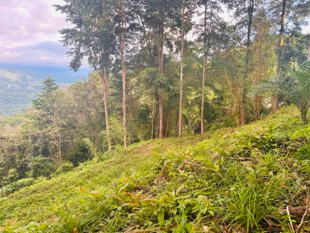 LOT WITH STUNNING OCEAN AND MOUNTAIN VIEWS NEAR DOMINICAL WITH LEGAL WATER – 1.3 ACRES, photo 8