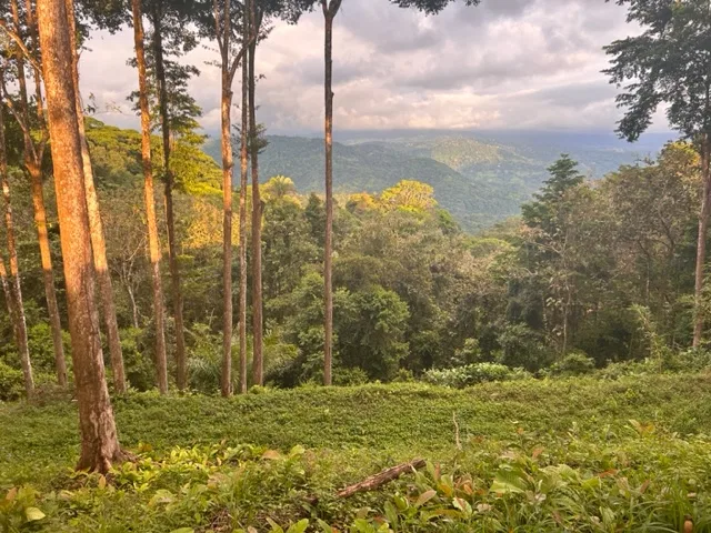 LOT WITH STUNNING OCEAN AND MOUNTAIN VIEWS NEAR DOMINICAL WITH LEGAL WATER – 1.3 ACRES, photo 9